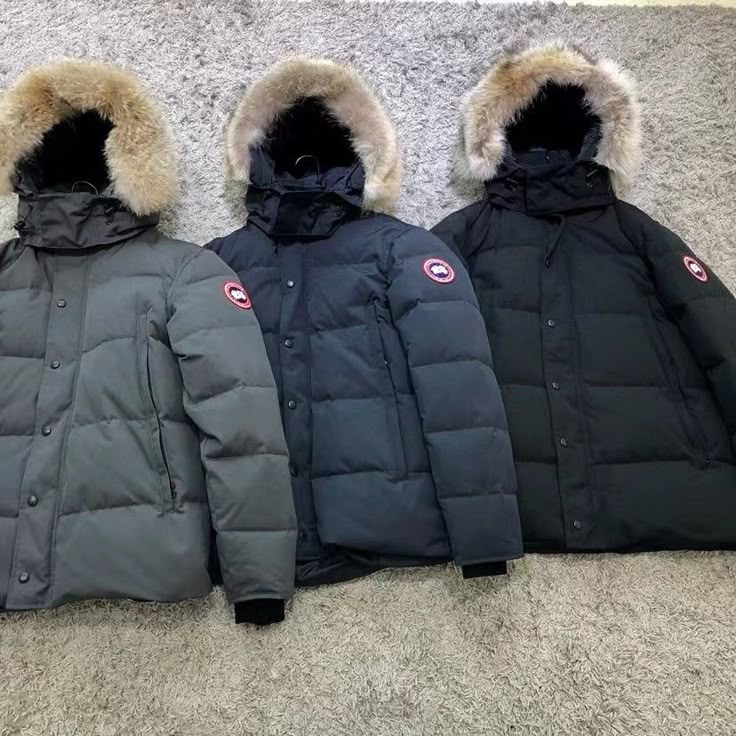 Veste Canada goose